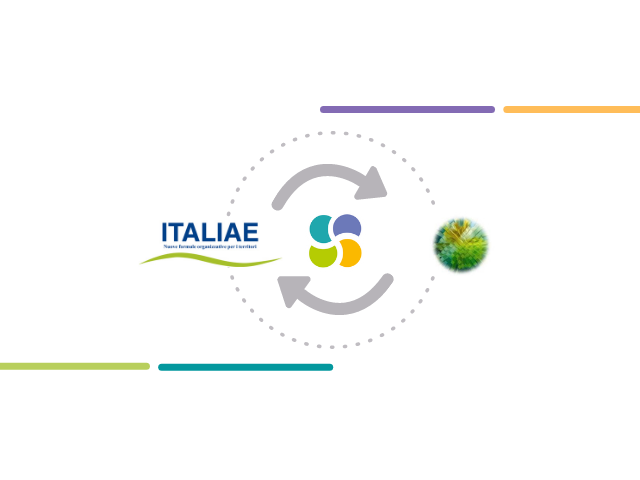 Linea di progetto Laboratorio permanente  di ITALIAE